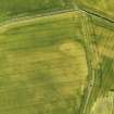 Oblique aerial view of the cropmarks of the barrows and pits, looking to the S.