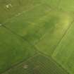 Oblique aerial view of the cropmark of the field boundary with Northbreck farmstead adjacent, taken from the SE.