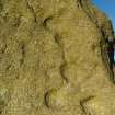 View of a cluster of cupmarks linked by a gutter or channel at the top of the E end of the S face of the stone.