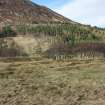 Farmstead 1067 at Glenmeinich viewed from S