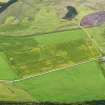 Oblique aerial view of the cropmarks of the possible pits, looking to the SE.