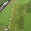 Oblique aerial view of the cropmarks of the possible pits, looking to the NNE.