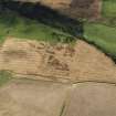 Oblique aerial view of the cropmarks of the palisaded settlement, looking NE.