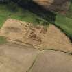 Oblique aerial view of the cropmarks of the palisaded settlement, looking NNE.