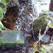 On-line Digital Images