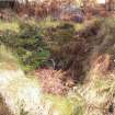 On-line Digital Images