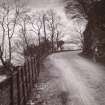 View of road with man and bicycles. 
Titled: 'Loch Lomond. 1904. Point of Firxxx & S R Turnbull'. 
