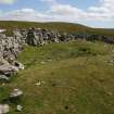 View from W of the probable hut-circle (HU24NE 179) underlying the later enclosure wall.