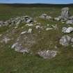 View from W of the front of the probable hut-circle (HU24NE 179) overlying bedrock.