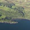 Oblique aerial view of the fort, tower house and fish trap at Caisteal nan Con, looking ENE.