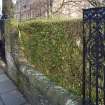 Boundary Iron railings. Detail