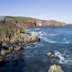 St Abb's cliffs. General view from S