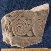 View of cross-slab fragment, Drainie no 24, with spiral decoration (with scale)