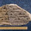 View of fragment of cross slab Drainie no 25, with Drainie no 27 (including scale)