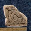 View of fragment of cross slab, Drainie no 29,  with spiral decoration (with scale)