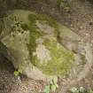 View of socket stone (with scale)