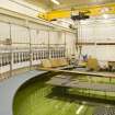 Interior. Curved wave tank building. View of modular work platforms, signal processing receivers (left)