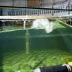 Interior. Curved wave tank building. Curved Wave TankTank. Specimen 'bullseye' wave. Detail