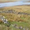 Armishader: sheepfold, looking N towards Loch Leathan
