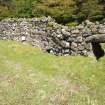 Tottrome: sheep creep in 19th c sheep dyke