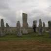 View of stone circle from W.