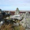 View from E showing chamber orthostats and corbel stones.