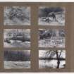 Six album photographs showing forest clearing at Addistoun House.
Page titled: 'March 1939 - the bank'.
PHOTOGRAPH ALBUM NO.145: ADDISTOUN