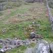 From Dun na Muirgheidh, looking down on remains of  medieval buildings and part of the stone dyke between Crofts ! & 2.
