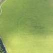 Oblique aerial view of grassmarks of the Craigie Burn settlement, taken from the NNE.