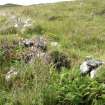 Turf and stone dyke at Naast, possible head dyke of pre-improvement township (pre-1844)