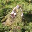 Cnoc nam Piob shieling hut site. No 20 notched stone