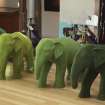 Assorted baby elephants - Artist: Chris Groombridge.