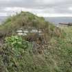 View looking across the turfed roof of the ice house, taken from N