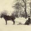 View of woman driving horse-drawn sledge probably in the grounds of St Fort House.
