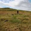 View from ENE, with David Leask of Unst Archaeology Group.