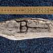 View of fragment with incised letter B (including scale)