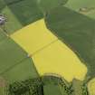 Oblique aerial view of the fields at Kelloe Mains, taken from the SE.