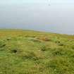 Peat stand, looking SW (B67)