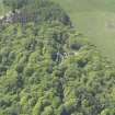 Oblique aerial view of Panmure Testimonial Monument, taken from the E.