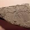 Ardross 1. View of Pictish symbol stone fragment (single flash)