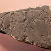 Ardross 1. View of Pictish symbol stone fragment (peripheral flash)