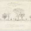 Drawing showing cross-section of proposed carriageway and walks at lower part of middle Meadow walk, Edinburgh