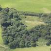 Oblique aerial view of Glascune Castle, taken from the NE.