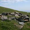 One of the peat stands on the slopes of Toa Rona, taken from the W