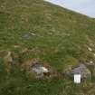 One of the peat stands on the slopes of Toa Rona, taken from the E.