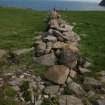 The stone dyke at the S end of Fianuis, taken from the NW.