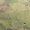 Oblique aerial view of the settlement enclosures at Chippermore and Changue, looking NW.