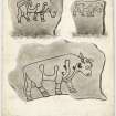 Drawing of Burghead bulls.