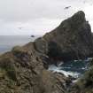 General shot of the central summit of Dun, taken from the NW.