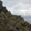 General view of the rock shelter from the W.